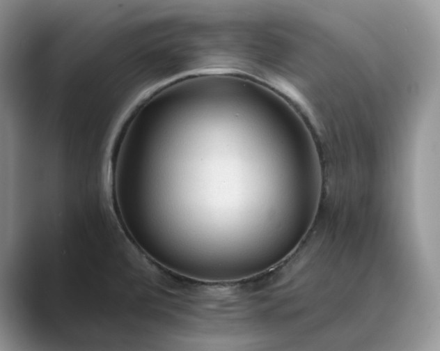X0000089661472200707051521