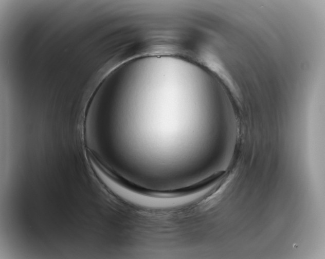 X0000089661473200707051521