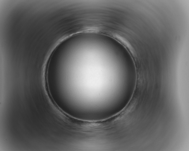 X0000089661475200707051521