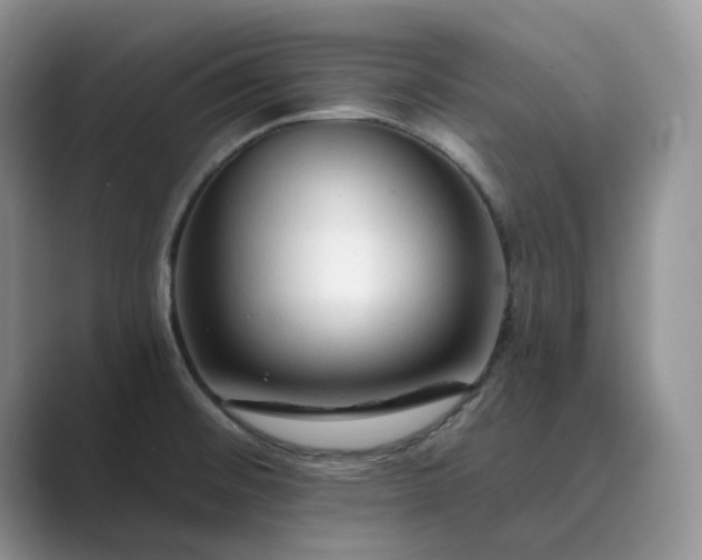 X0000089661476200707051521