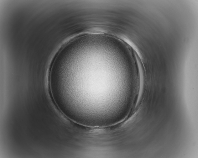 X0000089661477200707051521