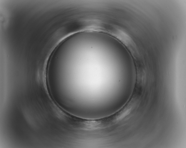 X0000089661478200707051521