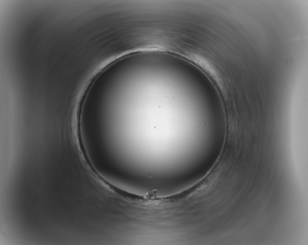 X0000089661480200707051520