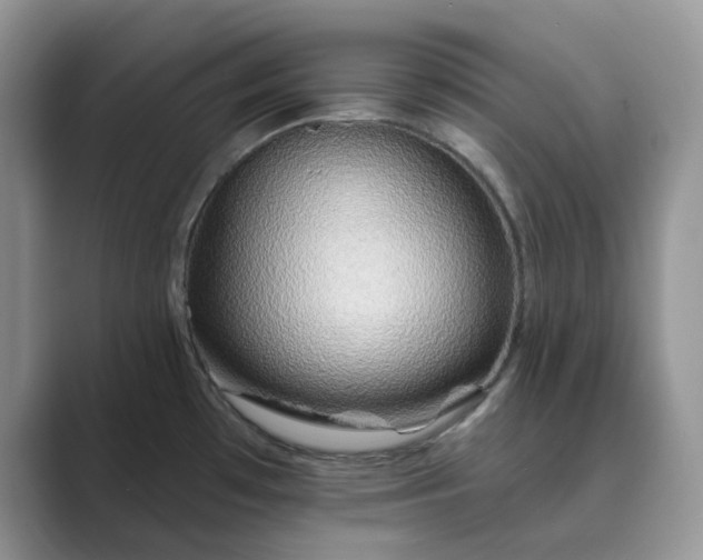 X0000089661481200707051520