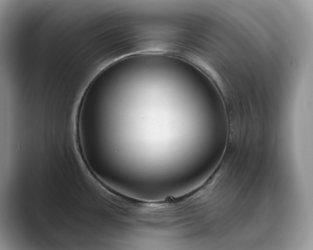X0000089661483200707051520