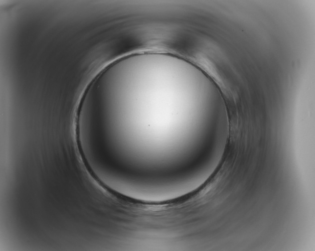 X0000089661484200707051520