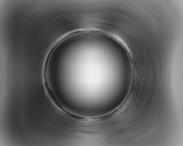 X0000089661485200707051520