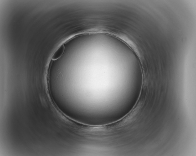 X0000089661486200707051520