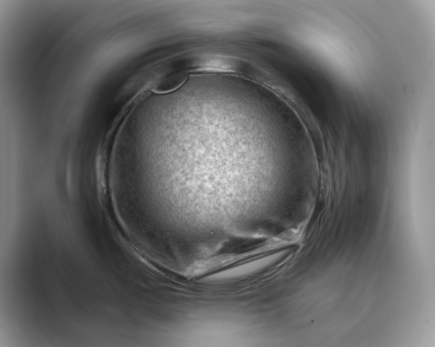X0000089661487200707051520