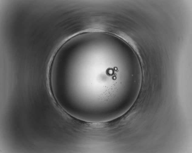 X0000089661488200707051520