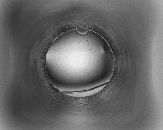 X0000089661489200707051520