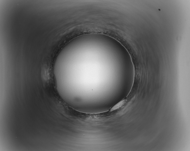 X0000089661490200707051520