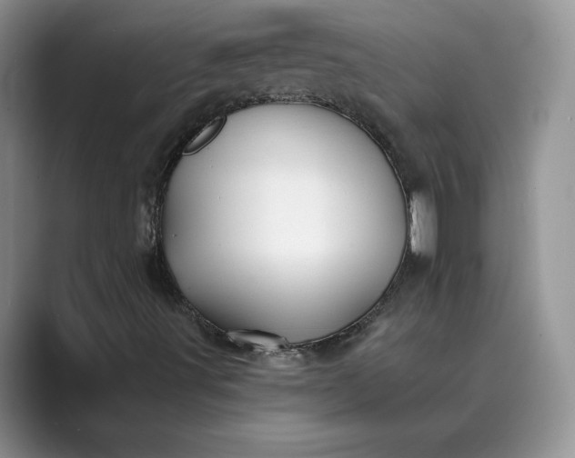 X0000089661491200707051520