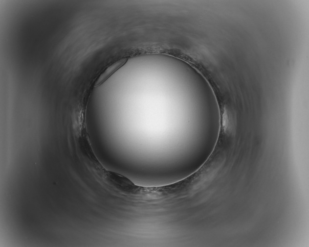 X0000089661492200707051520