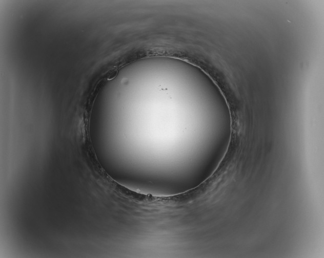 X0000089661493200707051520