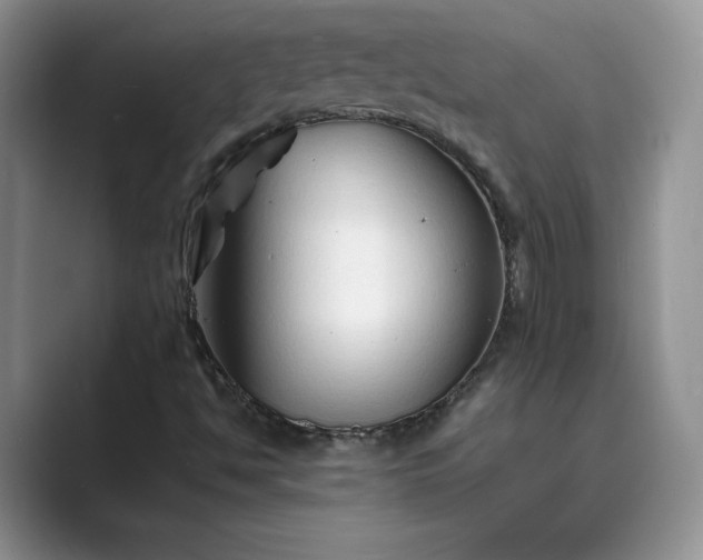 X0000089661494200707051520