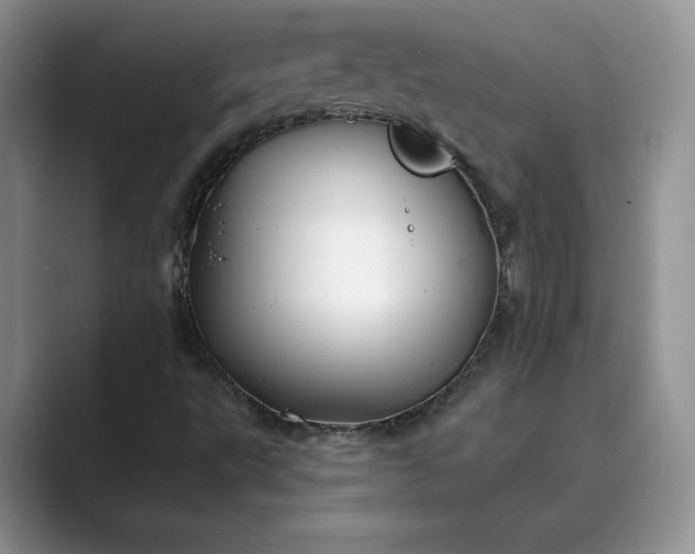 X0000089661495200707051520