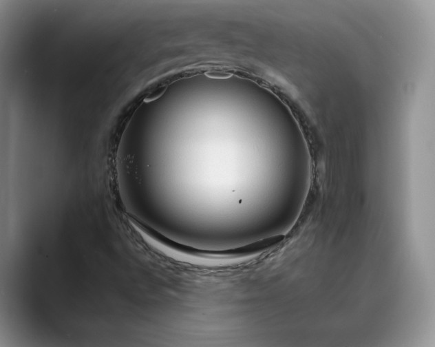 X0000089661496200707051520