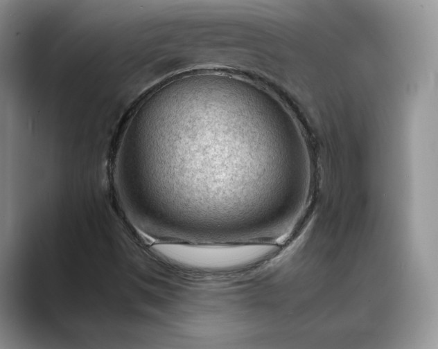 X0000089661497200707051520