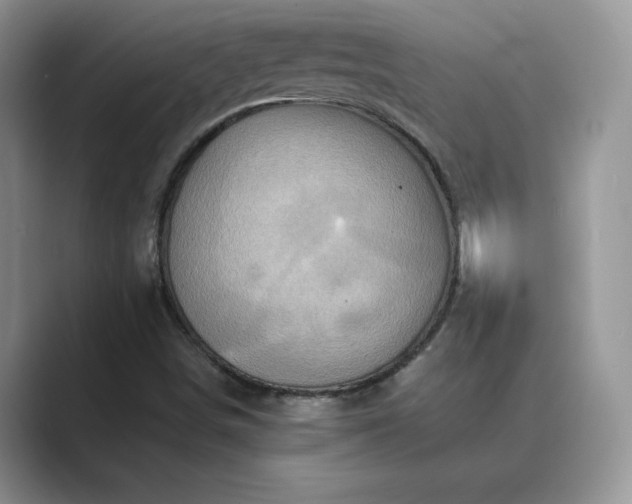 X0000089661498200707051520