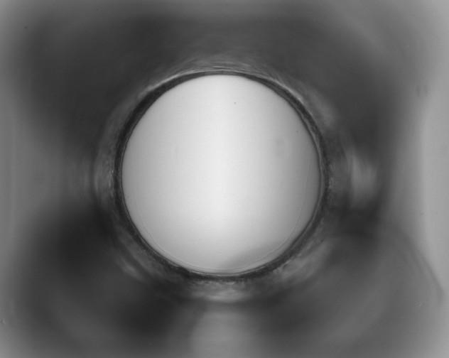 X0000089661499200707051520