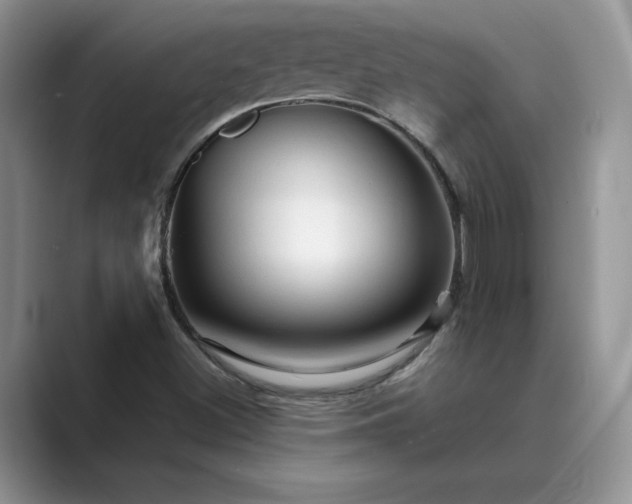 X0000089661500200707051520