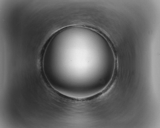 X0000089661501200707051520