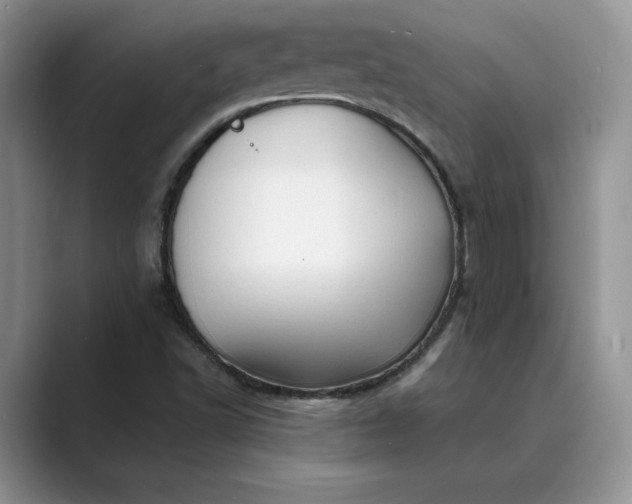 X0000089661502200707051520
