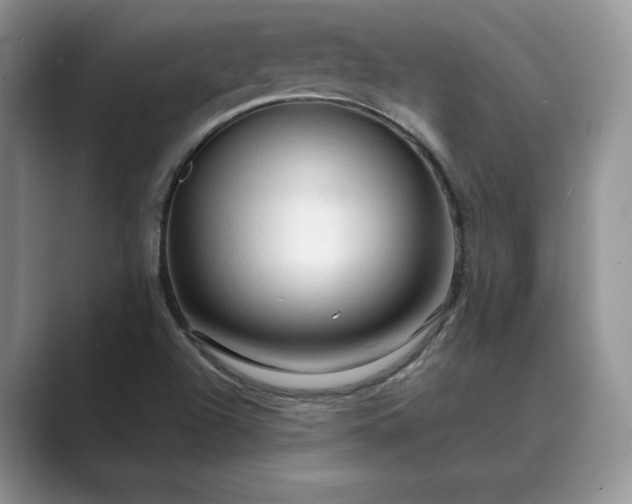 X0000089661504200707051520