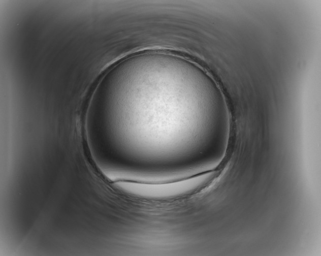 X0000089661505200707051520
