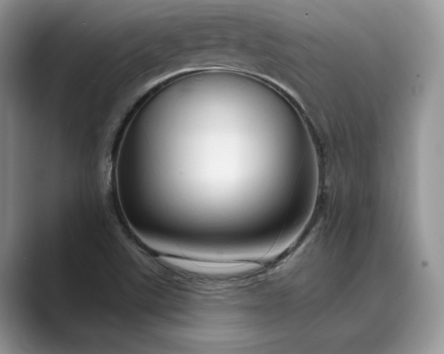 X0000089661507200707051520