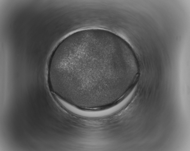 X0000089661508200707051520
