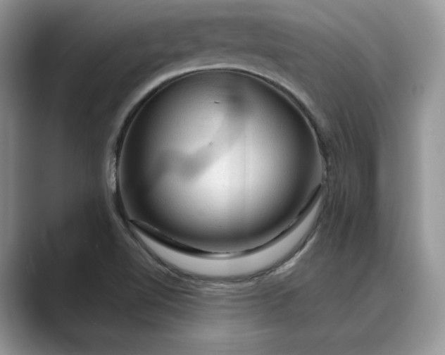 X0000089661510200707051520