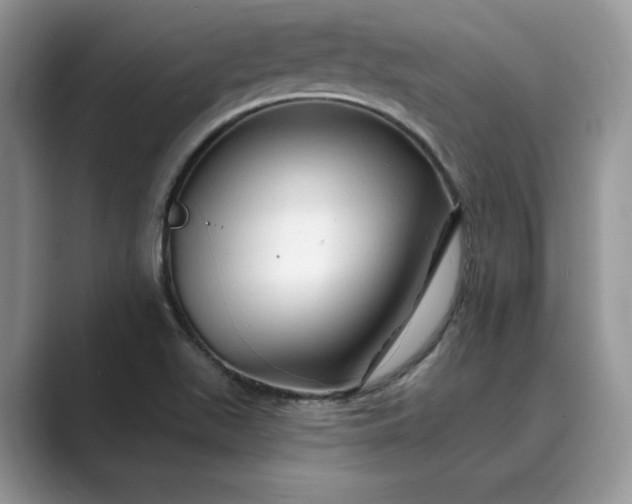 X0000089661511200707051520