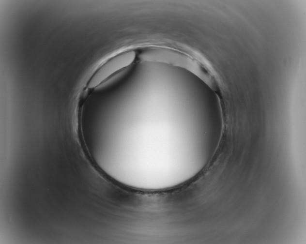 X0000089661512200707051520