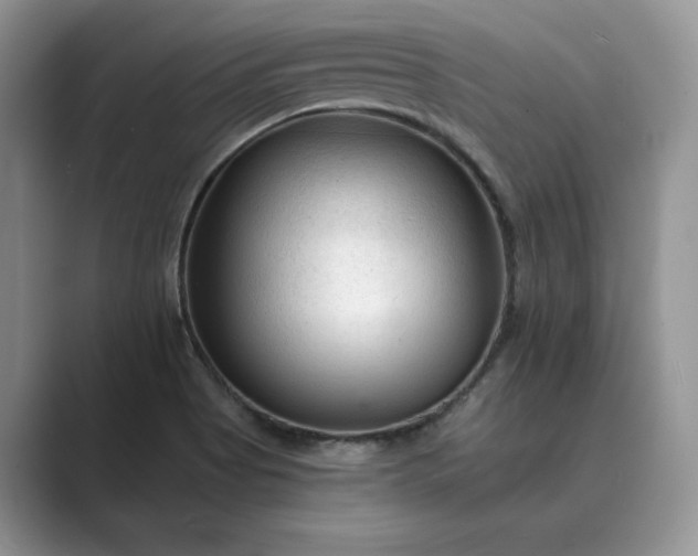 X0000089661513200707051520