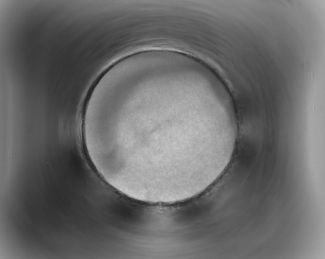 X0000089661514200707051520