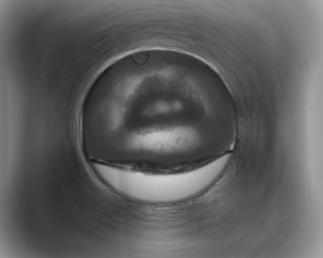 X0000089661515200707051520
