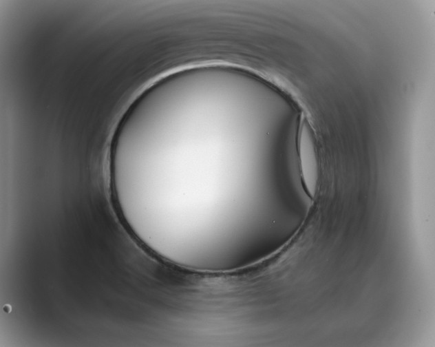 X0000089661516200707051520