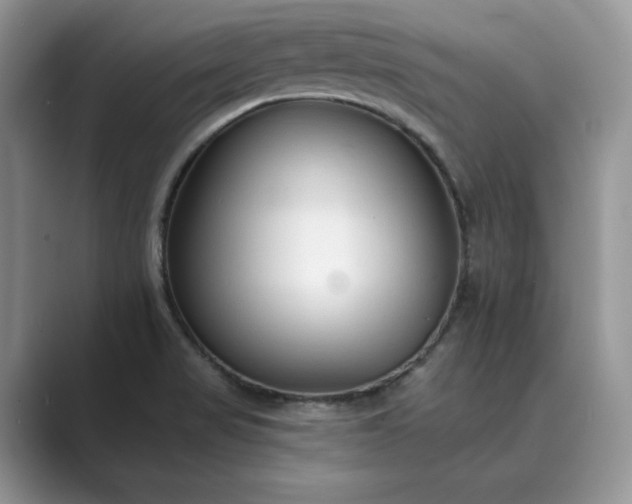 X0000089661517200707051520