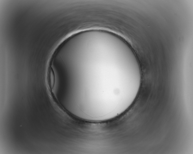 X0000089661518200707051520