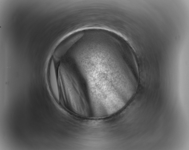 X0000089661519200707051520