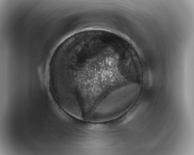 X0000089661522200707051520
