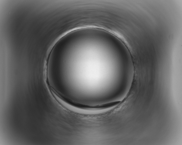 X0000089661524200707051520