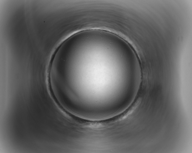 X0000089661525200707051520