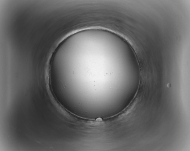 X0000089661526200707051520