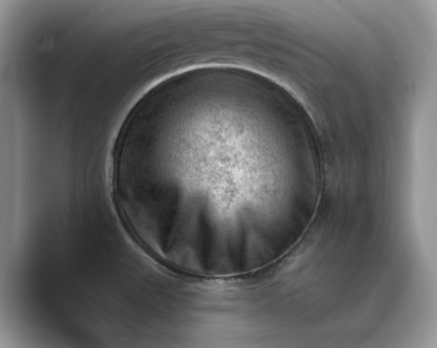 X0000089661527200707051520