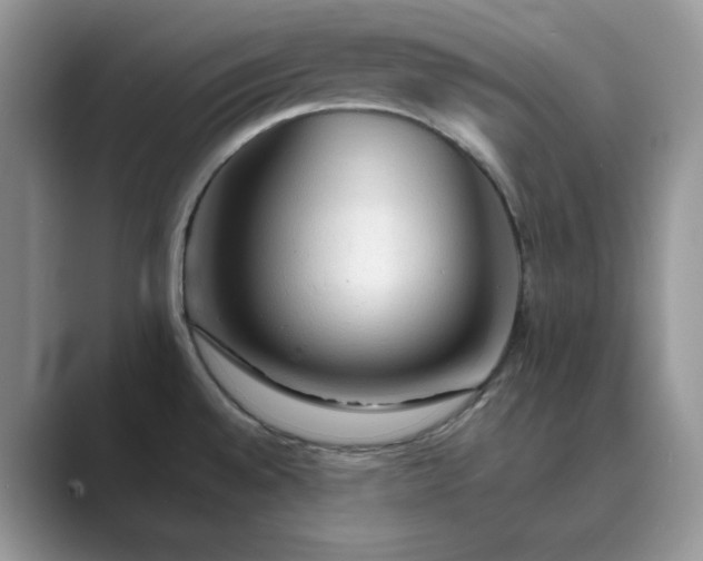 X0000089661528200707051520
