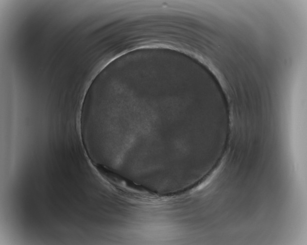 X0000089661529200707051520