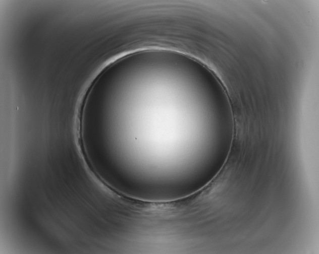 X0000089661531200707051520